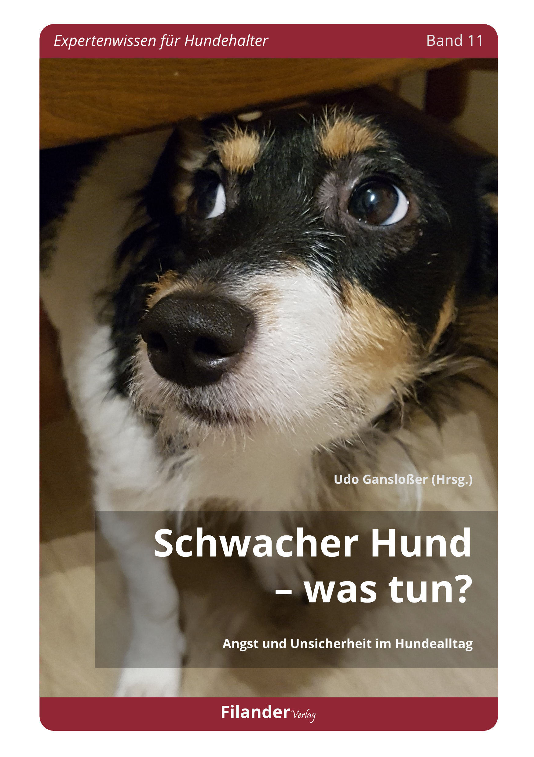 Schwacher Hund Was tun? Filander Verlag